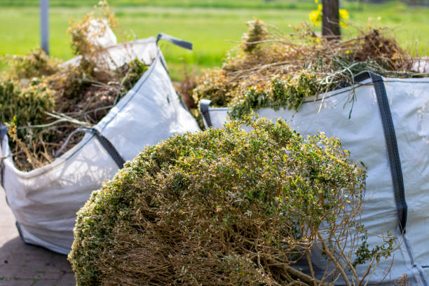 Best Garage Cleanout  in Sidy, NE